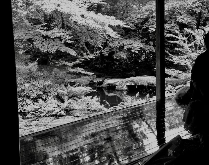 © Hans Jörg Bachmann